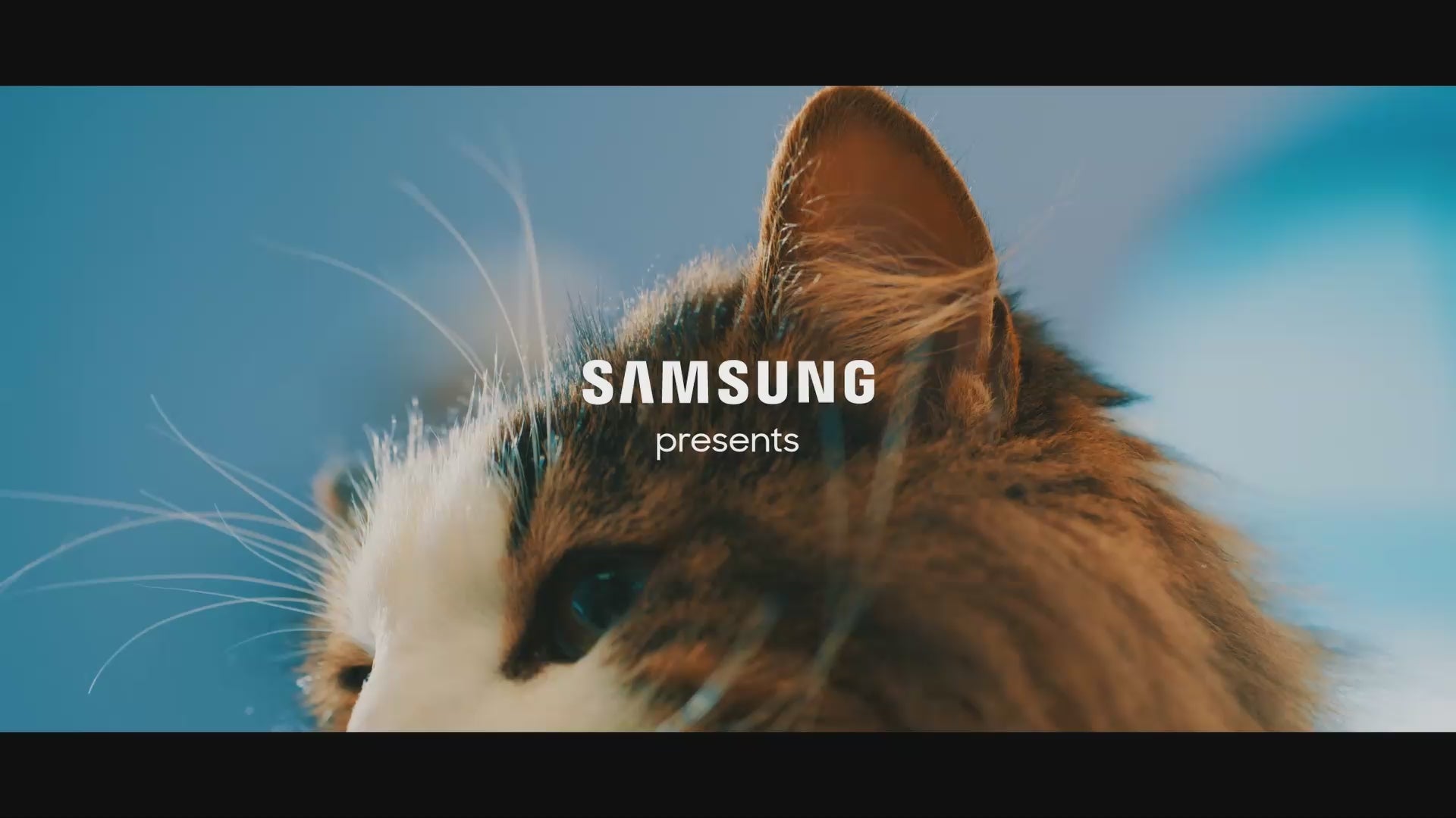 Load video: Samsung present WindFree Technolog's introduction